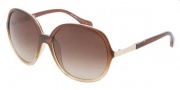 D&G DD8089 Sunglasses