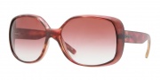 DKNY DY4101 Sunglasses