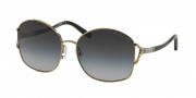 Michael Kors MK1004B Sunglasses Palm Beach