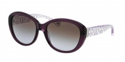 Coach HC8106 Sunglasses Asha