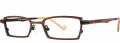 OGI Eyewear 2223 Eyeglasses