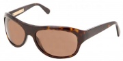 Dolce & Gabbana/ DG 4031 Sunglasses - (502-33) Havana/Crystal Brown