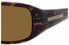 Carrera Control Sunglasses Sunglasses - ETAP Tortoise / VW Brown Polarized Lens
