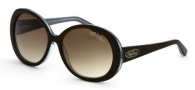 Black Flys Sunglasses Shiny Fly  Sunglasses - Brown / Turquoise