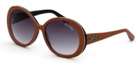 Black Flys Sunglasses Shiny Fly  Sunglasses - Red / Black 