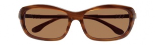 BCBGMaxazria Enchanted Sunglasses Sunglasses - BRO Brown Horn