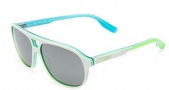 Nike MDL. 295 EV0746 Sunglasses Sunglasses - 070 Black / Yellow / Black with Grey Lens