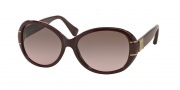 Coach HC8115 Sunglasses Blaine Sunglasses - 525514 Bordeaux / Brown Rose Gradient