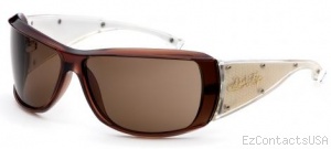 Black Flys Sunglasses Fly Trap  - Black Flys