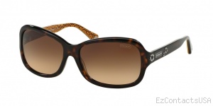 Coach HC8016 Sunglasses Ciara - Coach