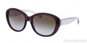 Coach HC8106 Sunglasses Asha - Coach