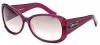 Black Flys Sunglasses Funk Fly 