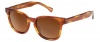 Gant GS Chester Sunglasses