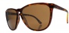 Electric Encelia Sunglasses