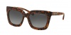 Michael Kors MK2013 Sunglasses Polynesia